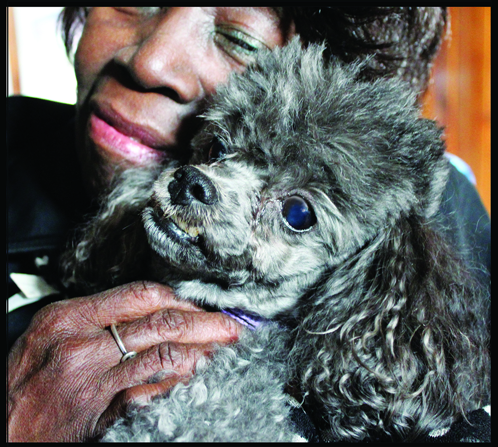 She dreamt of owning shoes and made her dreams come&nbsp;true